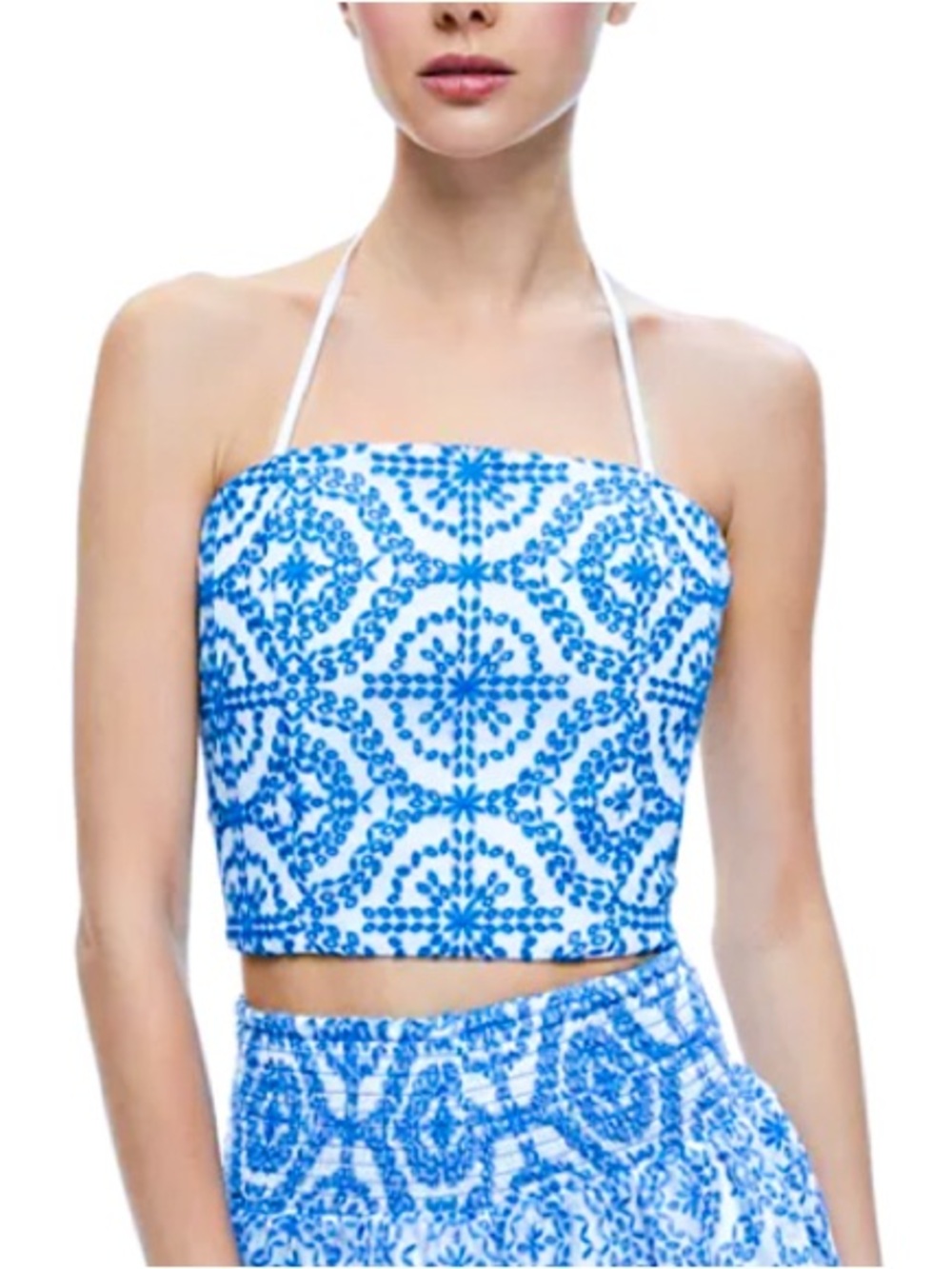 NWT - Alice + Olivia Blue Embroidered Halter Bandeau Top